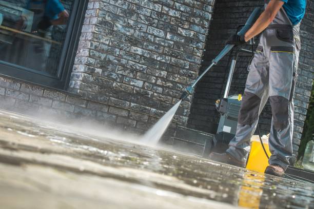 Best Roof Cleaning and Mildew Removal in Tuolumne City, CA